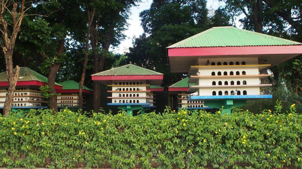 PARQUE-RIZAL-MANILA