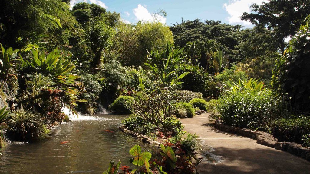 Jardin-Botanico-Deshaies-Guadalupe