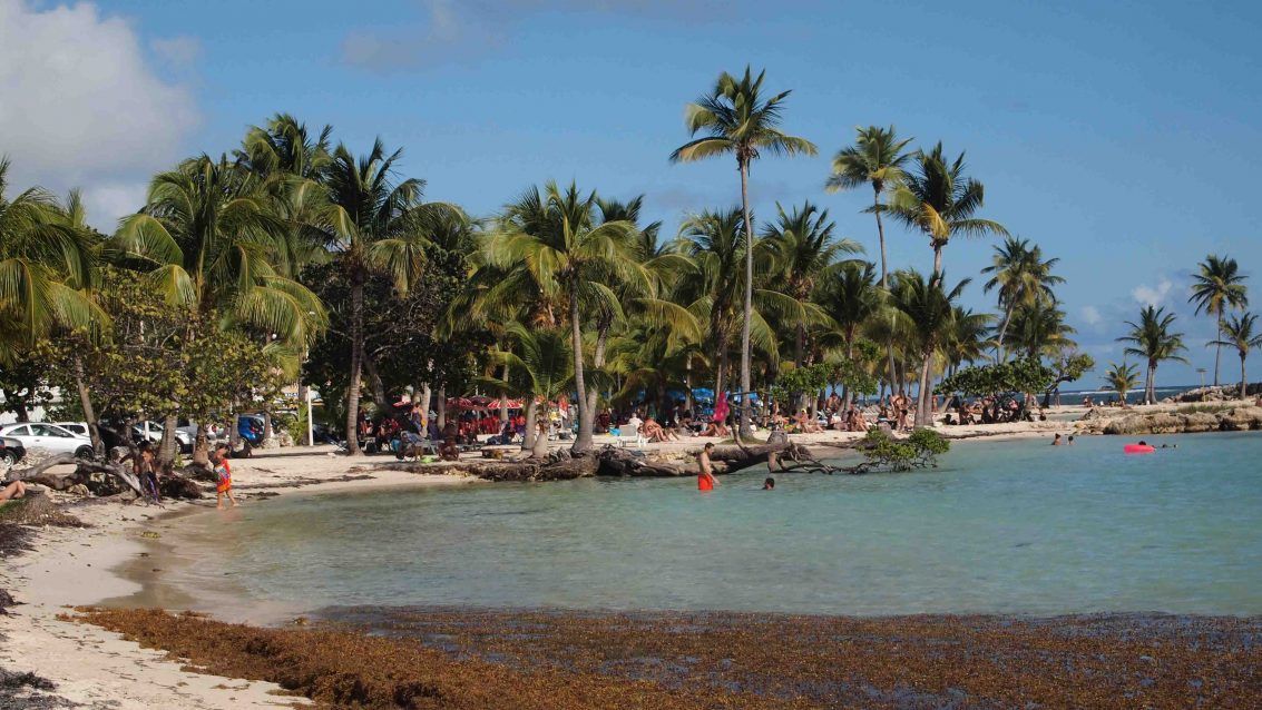 Playa-Caravelle-Guadalupe
