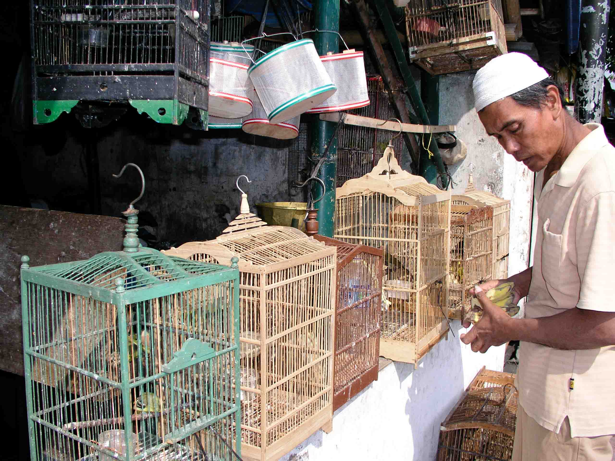 PASAR-NGASEN-YOGYAKARTA