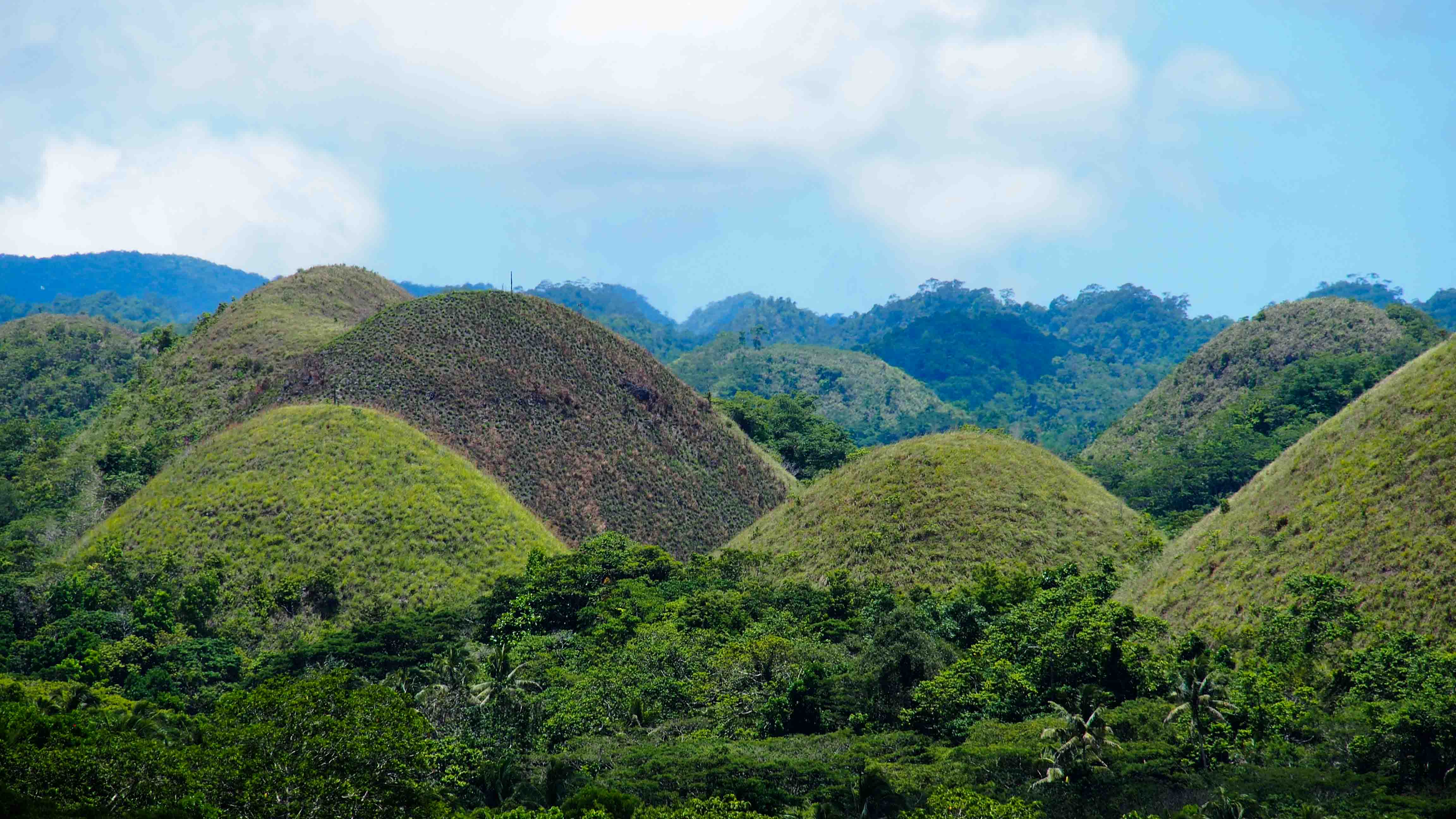 Chocolate-Hills