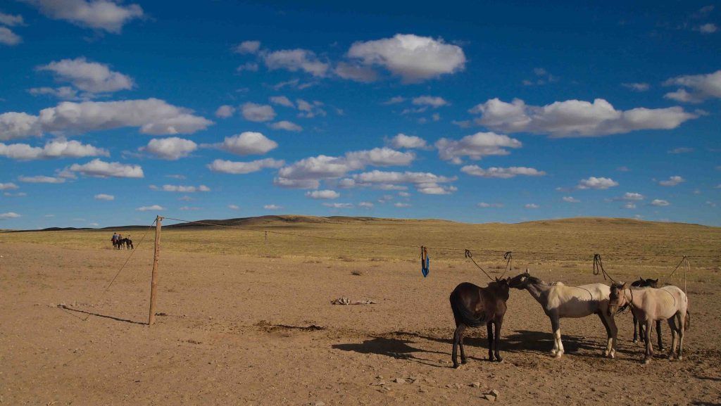 Caballos-Desierto-Gobi