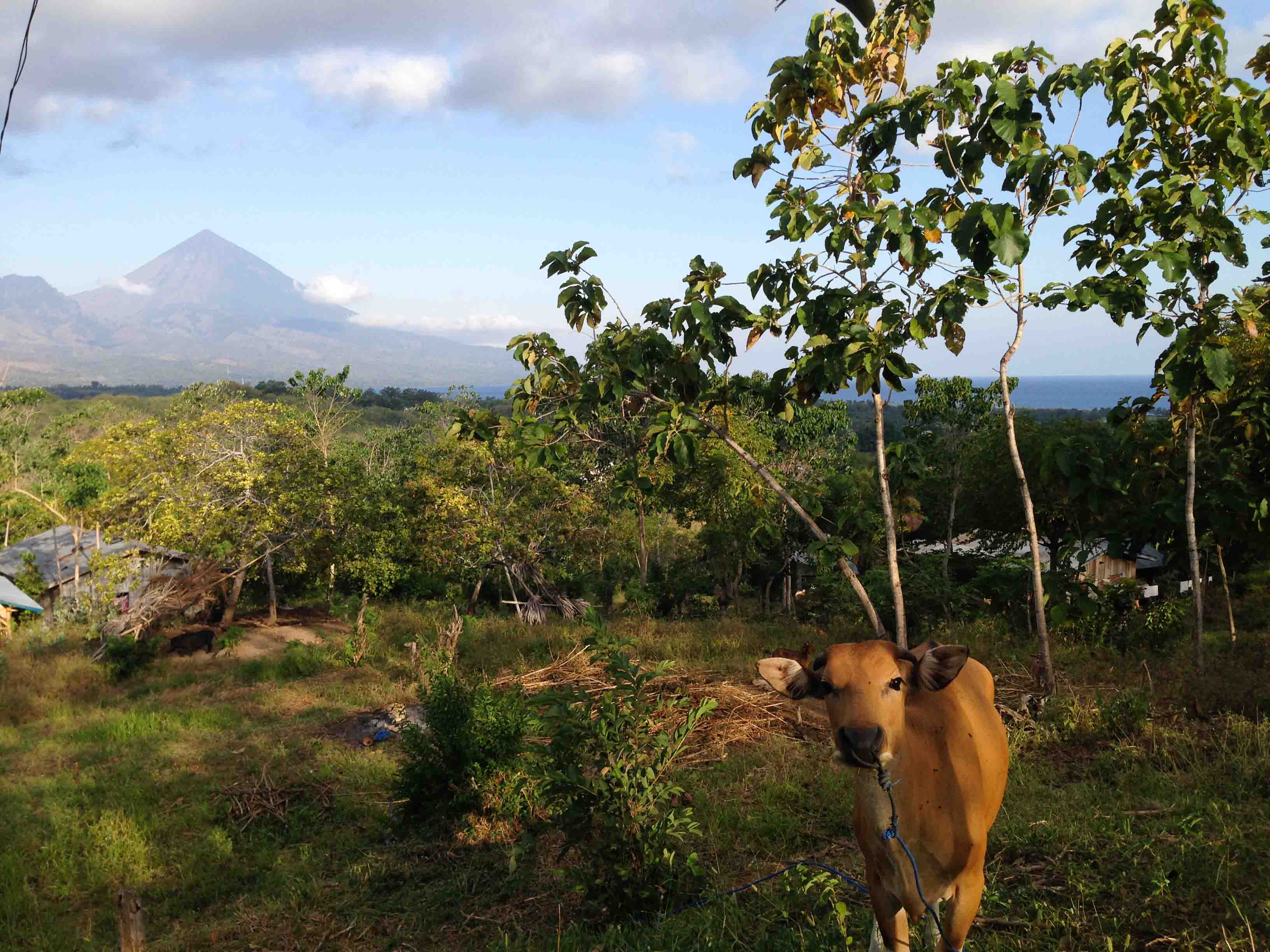 Isla-de-Flores-Indonesia