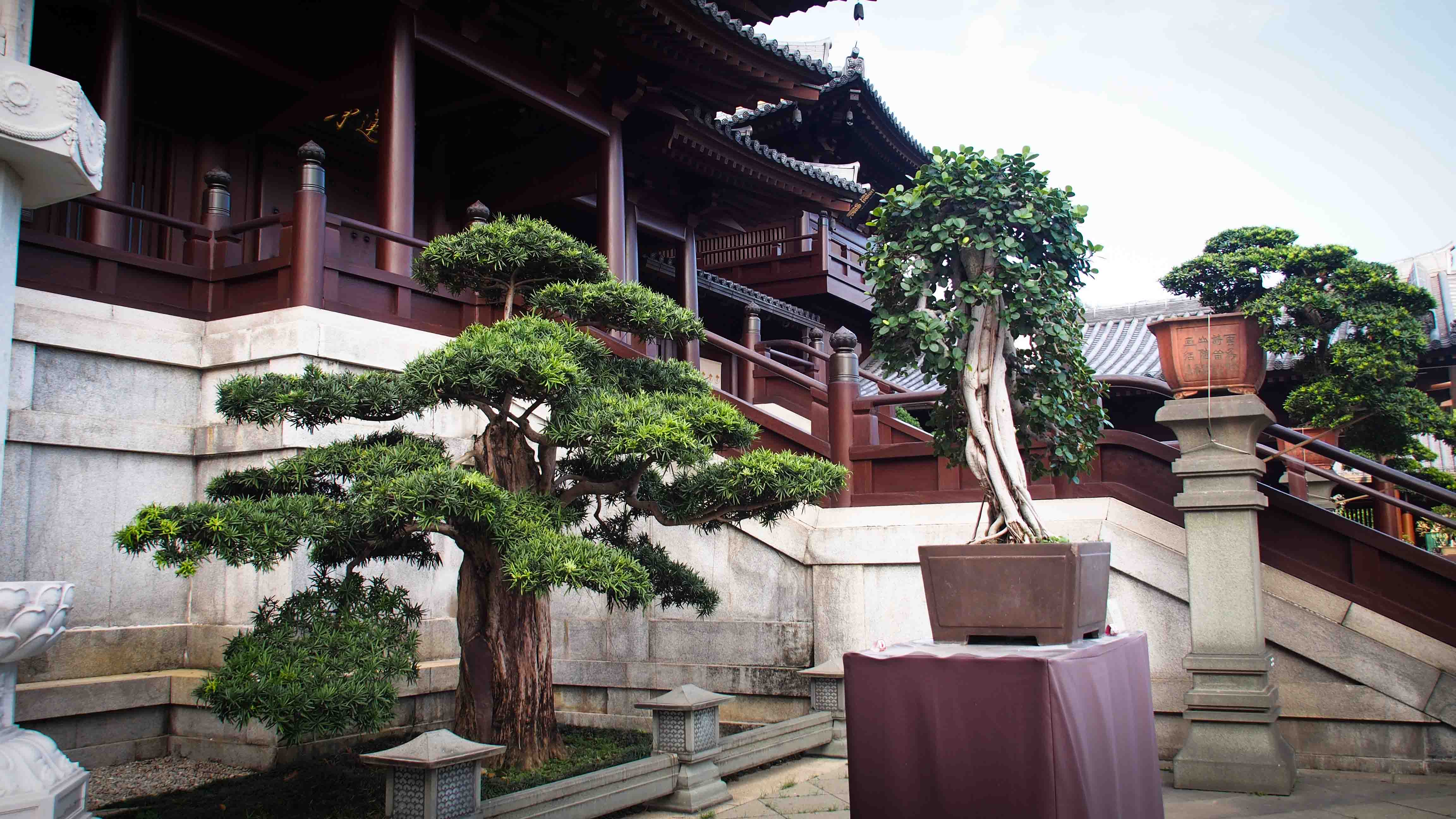 Monasterio-Chi-Lin