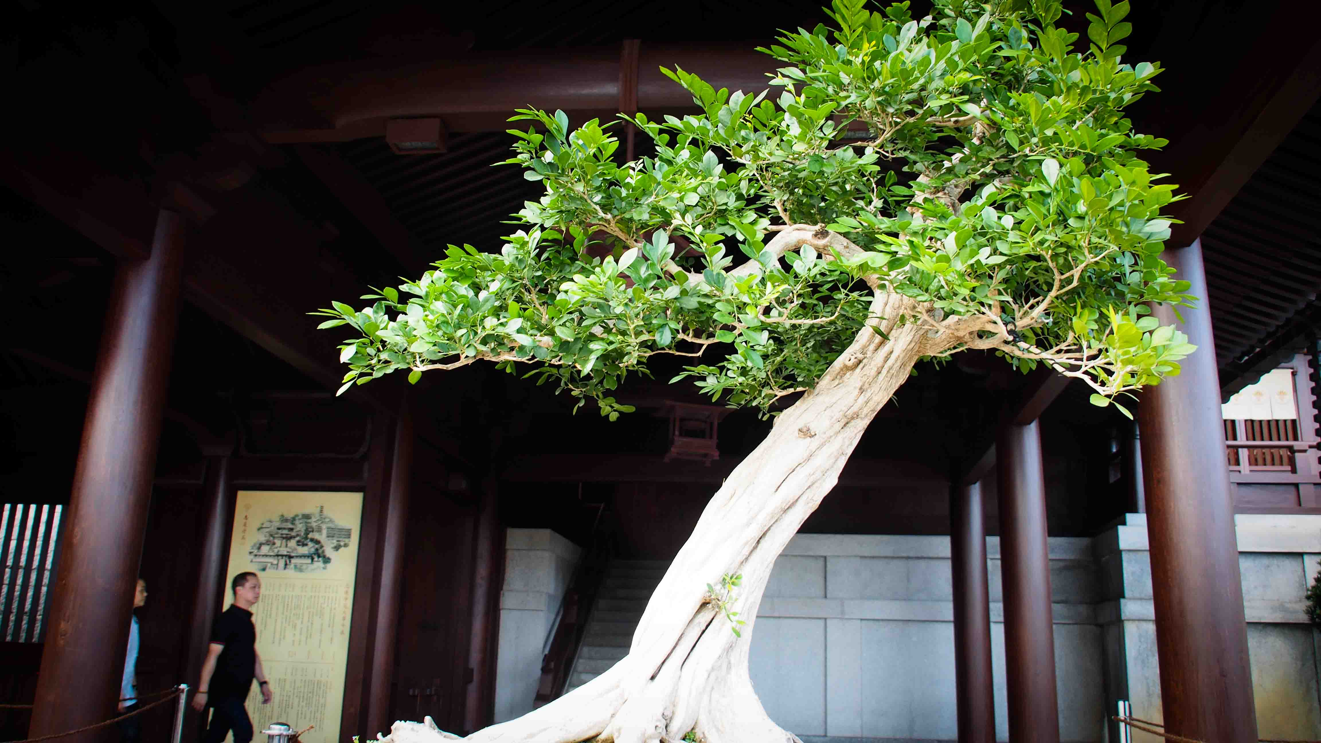 Monasterio-Chi-Lin