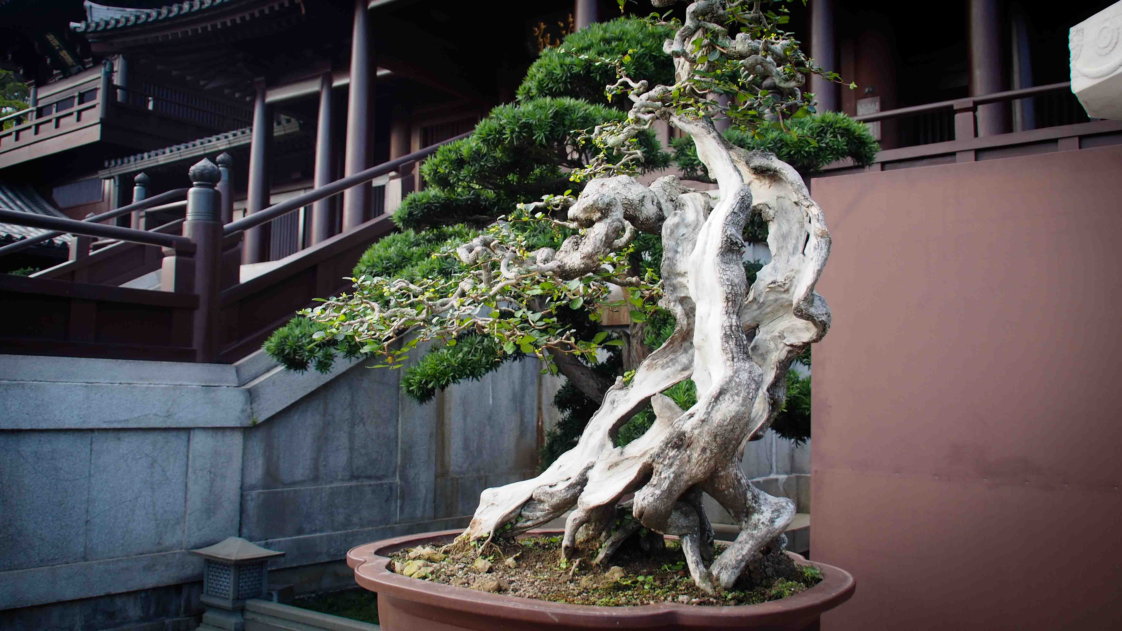Monasterio-Chi-Lin