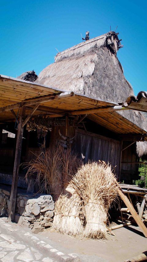 que-ver-en-isla-de-flores-indonesia-bena