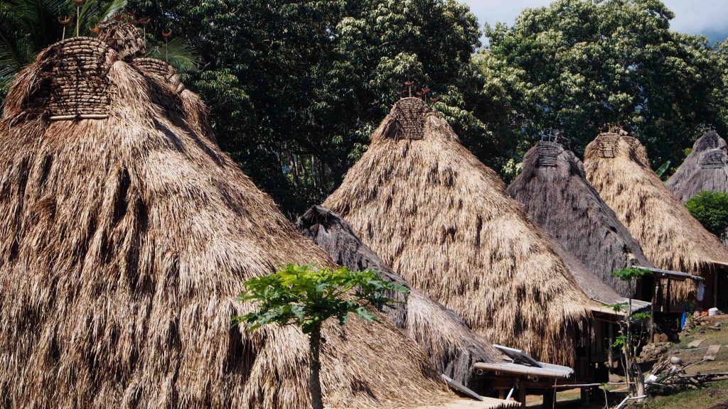 belaraghi-flores-indonesia