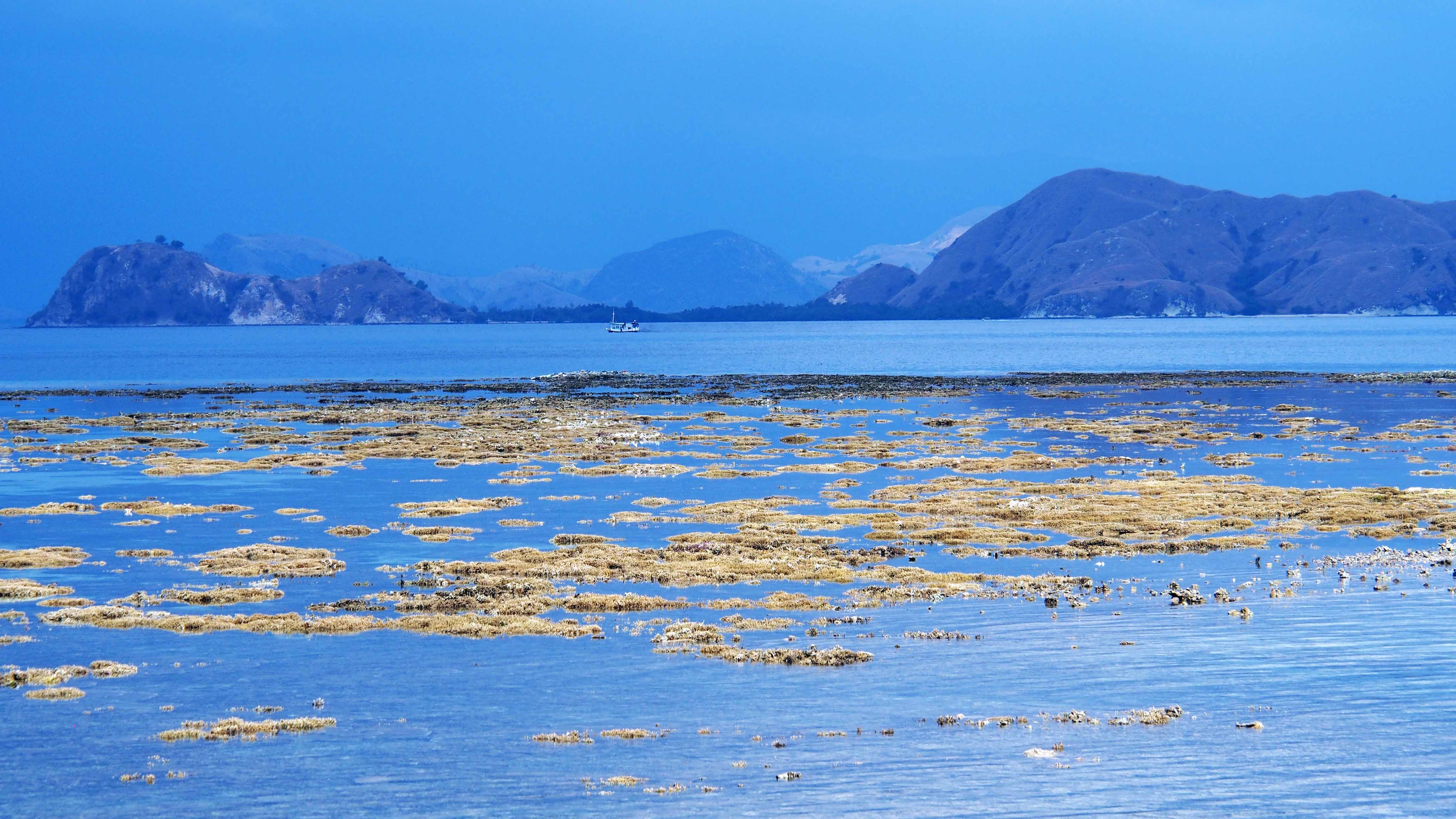 Isla-de-Kanawa