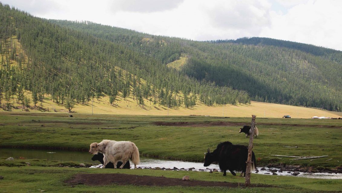 valle-orkhon-mongolia