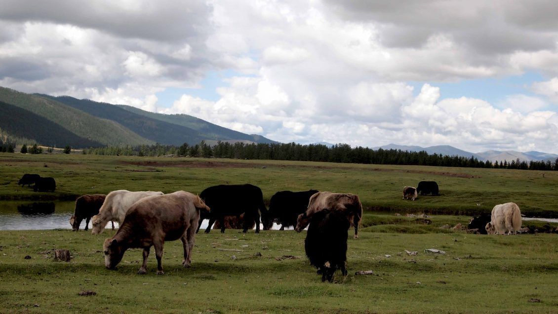 valle-orkhon-mongolia