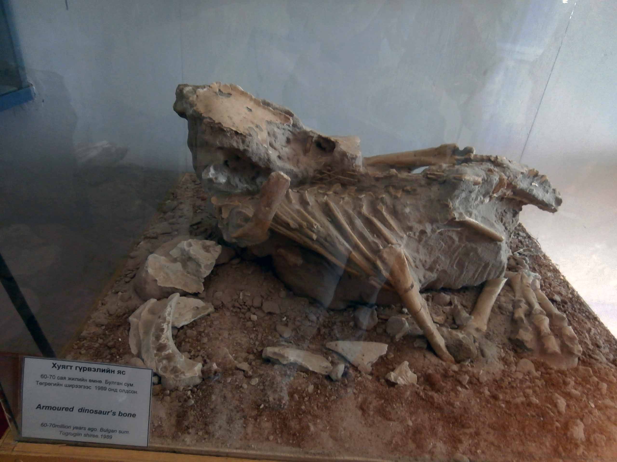 que-ver-bayanzag-desierto-gobi-mongolia