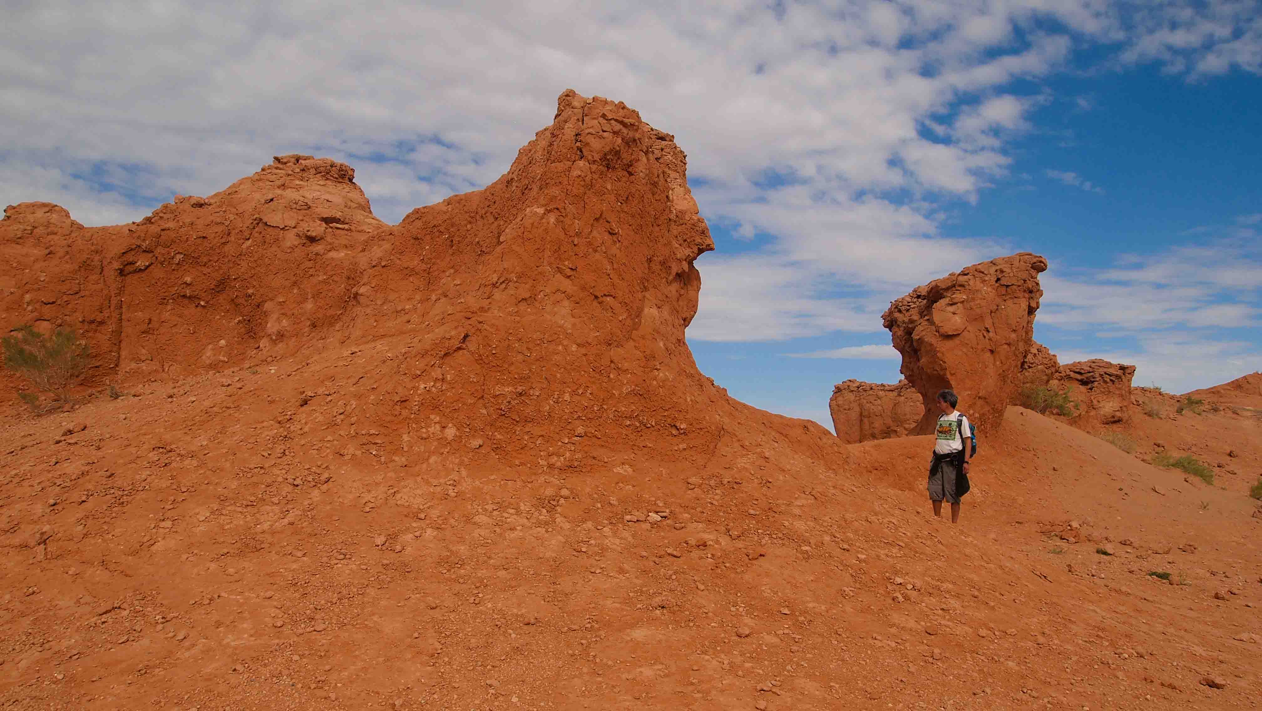 que-ver-bayanzag-desierto-gobi-mongolia