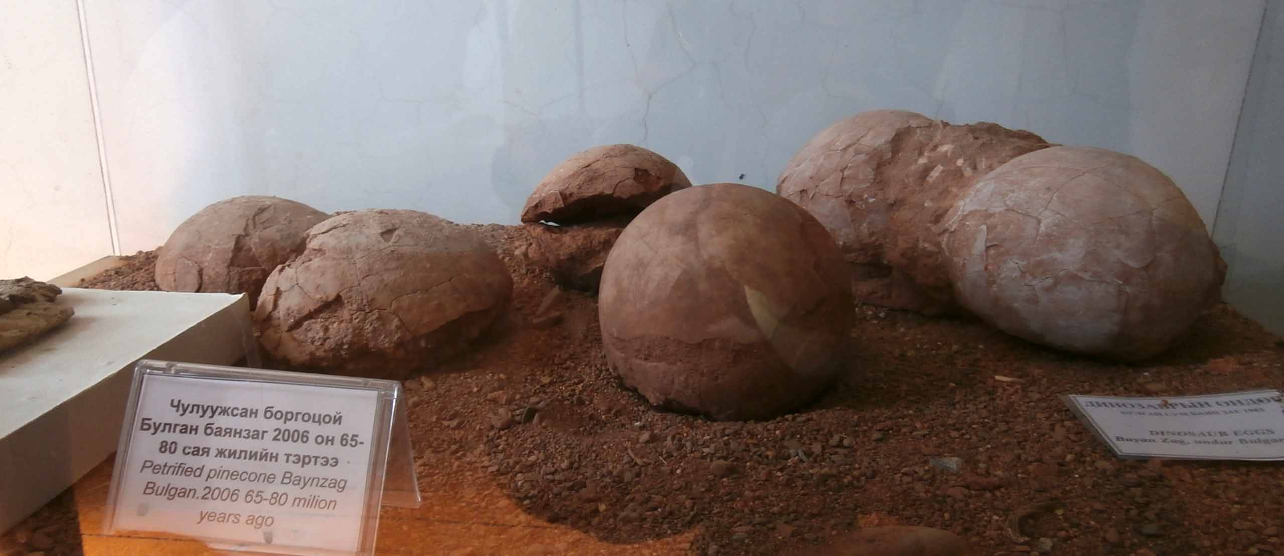 que-ver-bayanzag-desierto-gobi-mongolia