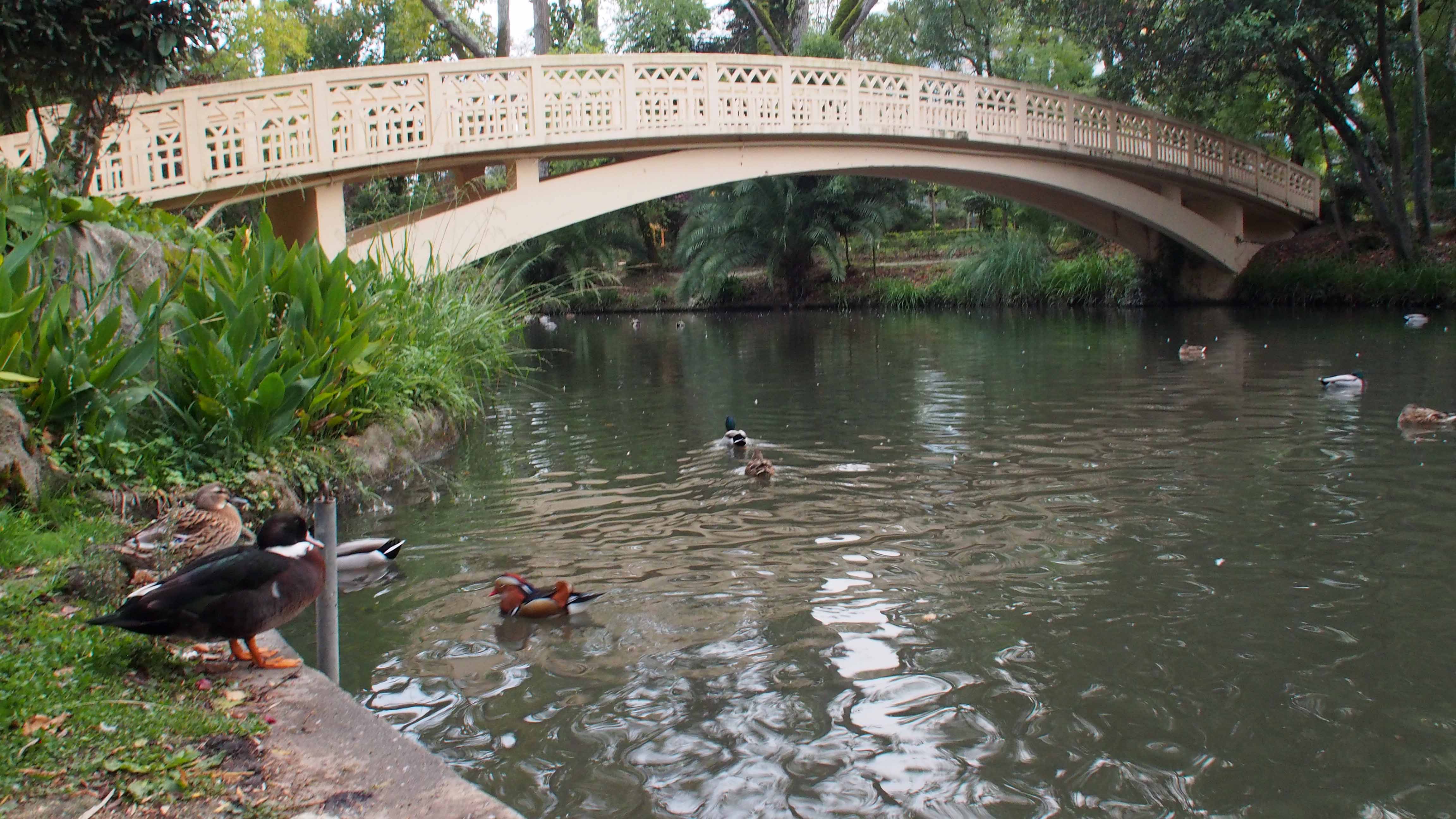 Parque-Infante-Dom-Pedro-Aveiro