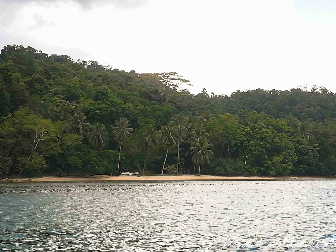 Coconut-Beach-Port-Barton