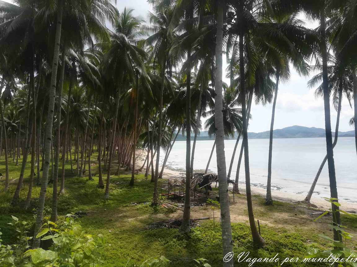 Coconut-Beach-Port-Barton