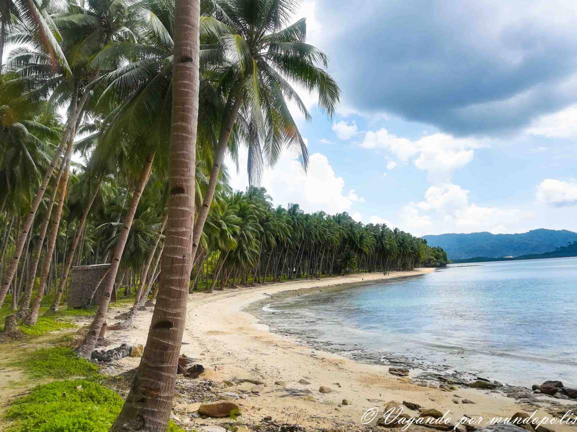 Coconut-Beach-Port-Barton