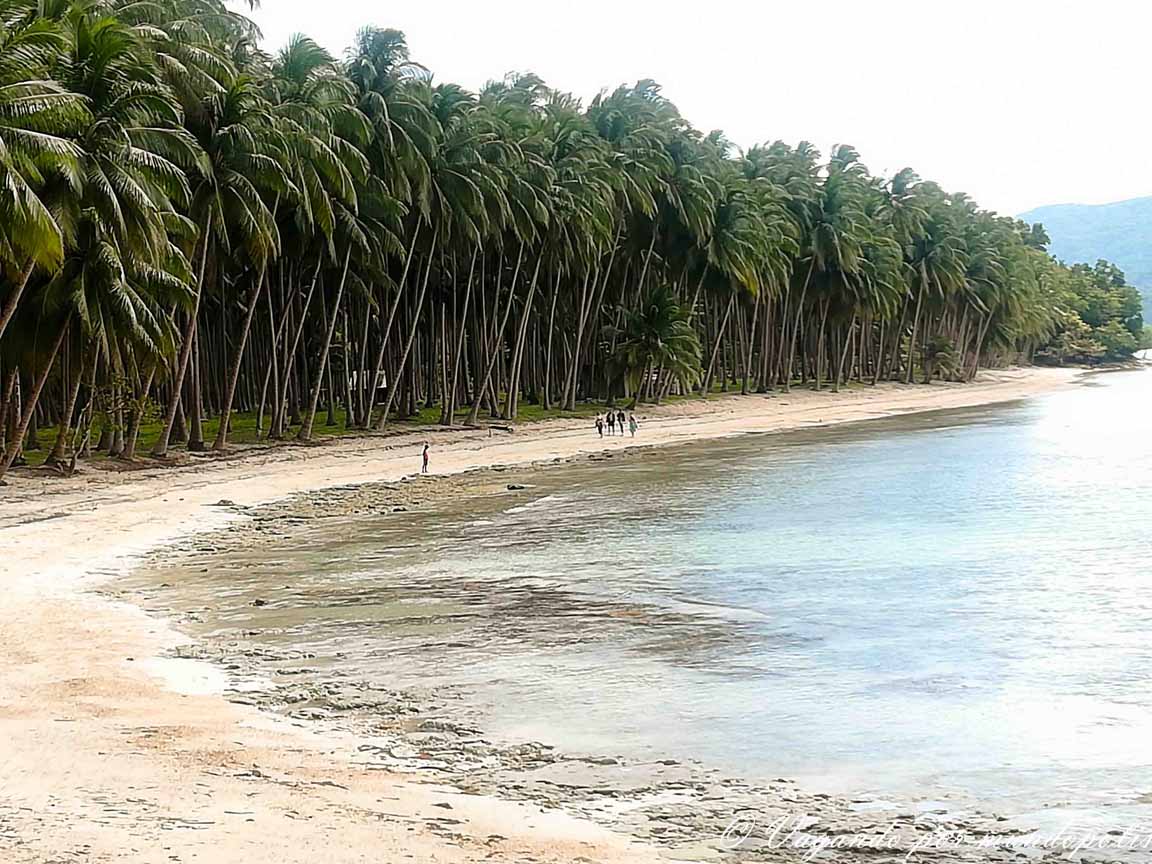 Coconut-Beach-Port-Barton