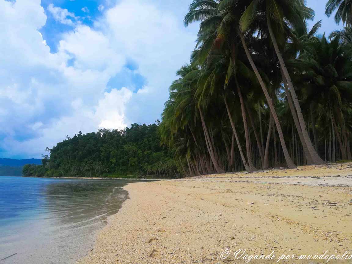Coconut-Beach-Port-Barton