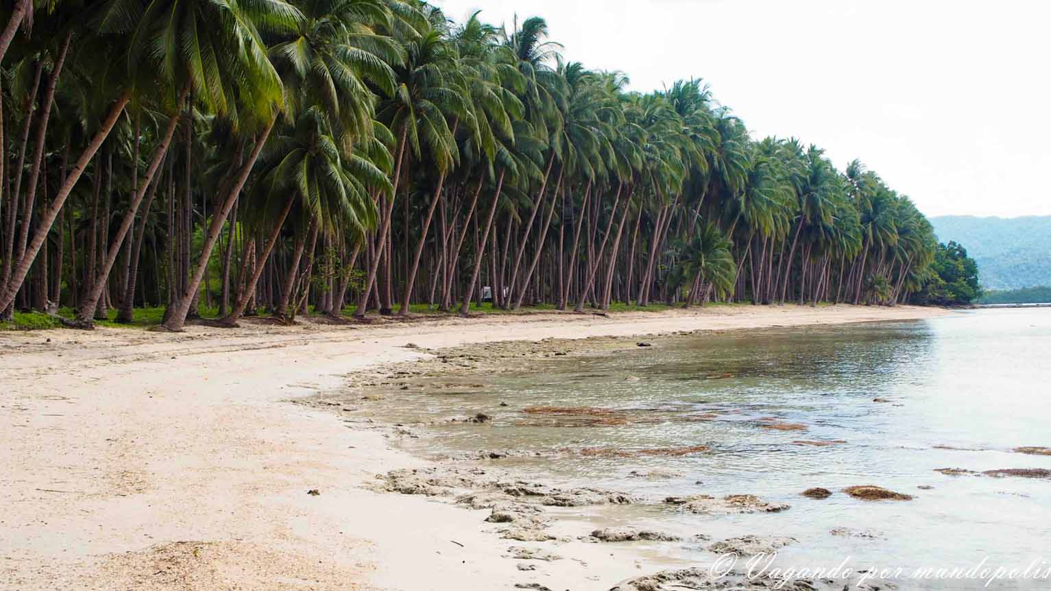 Coconut-Beach-Port-Barton