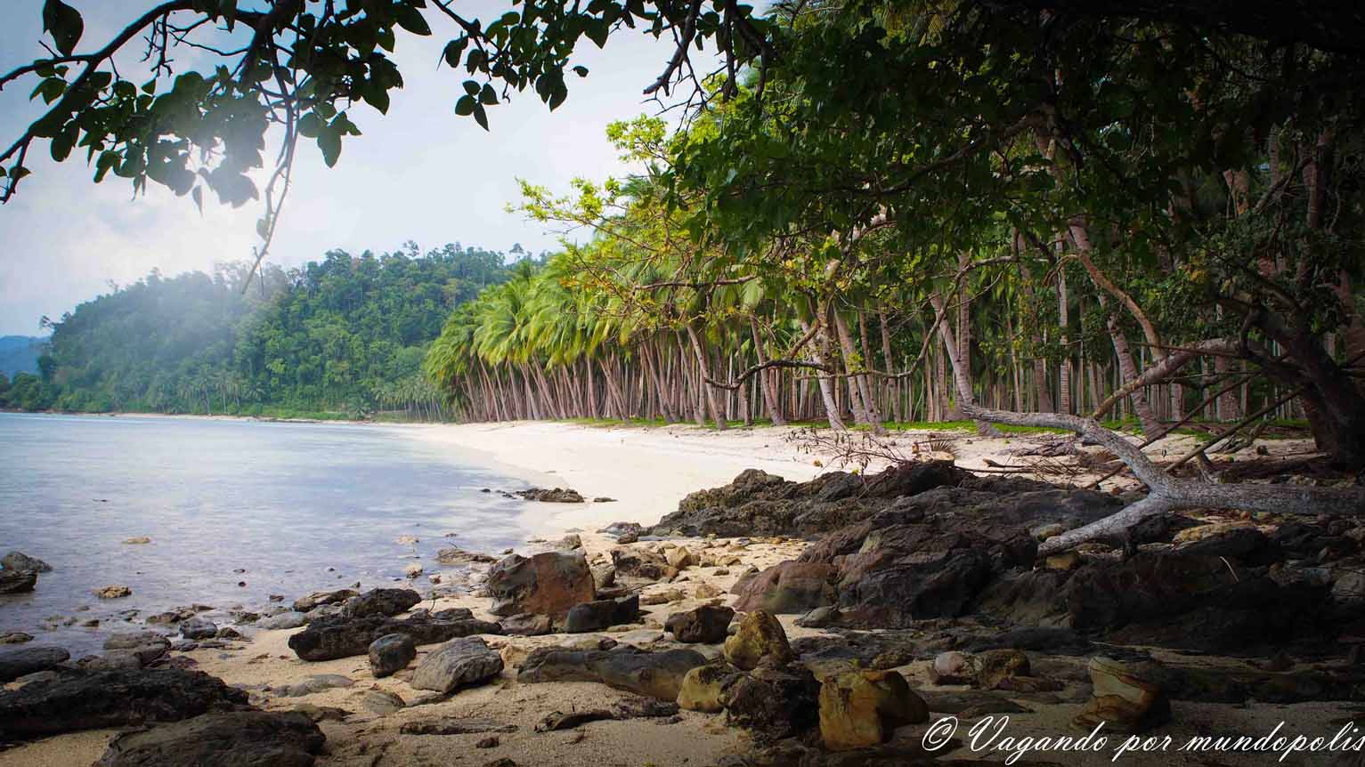 Coconut-Beach-Port-Barton