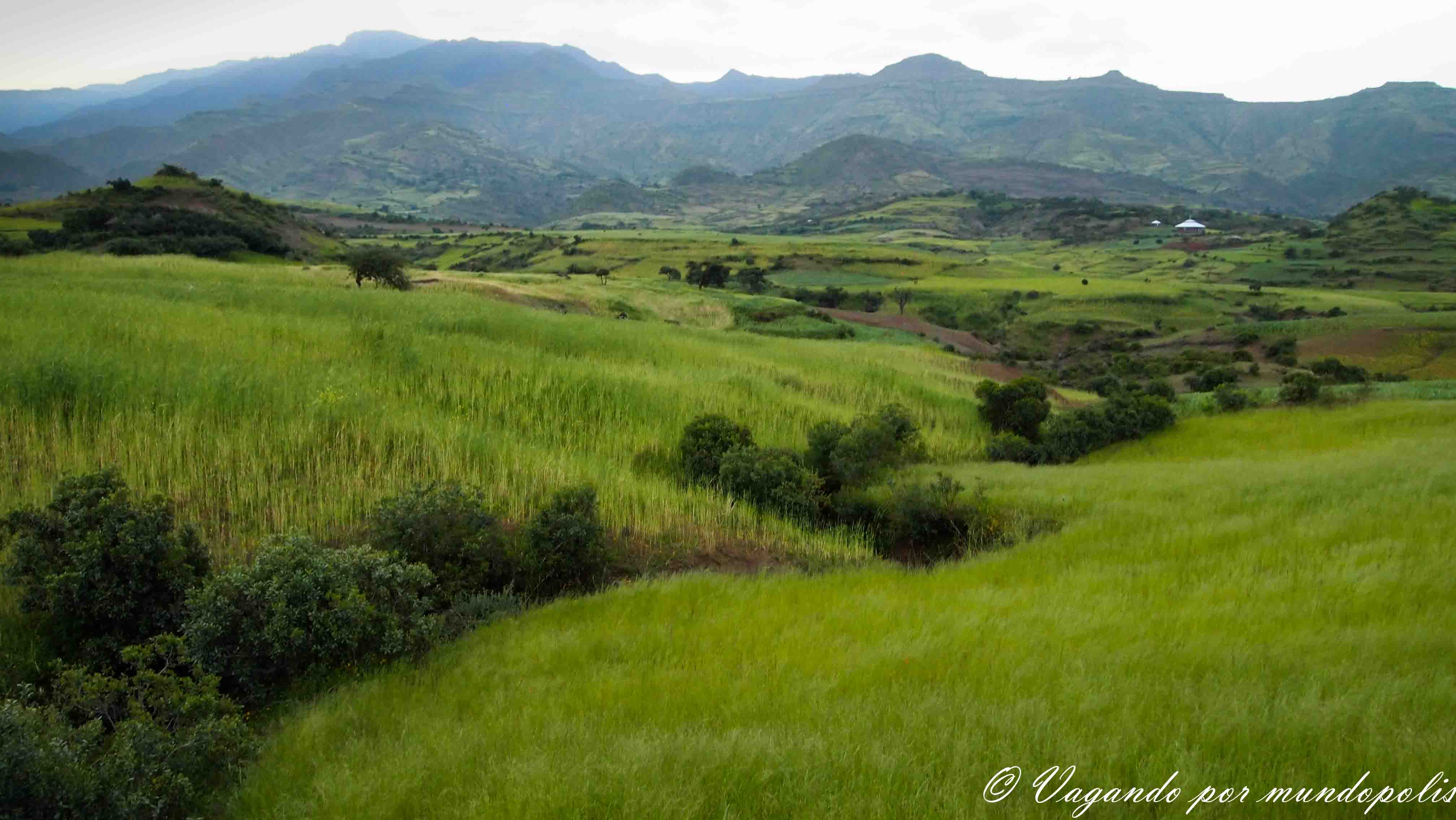 Tierras-Altas-Eiopia