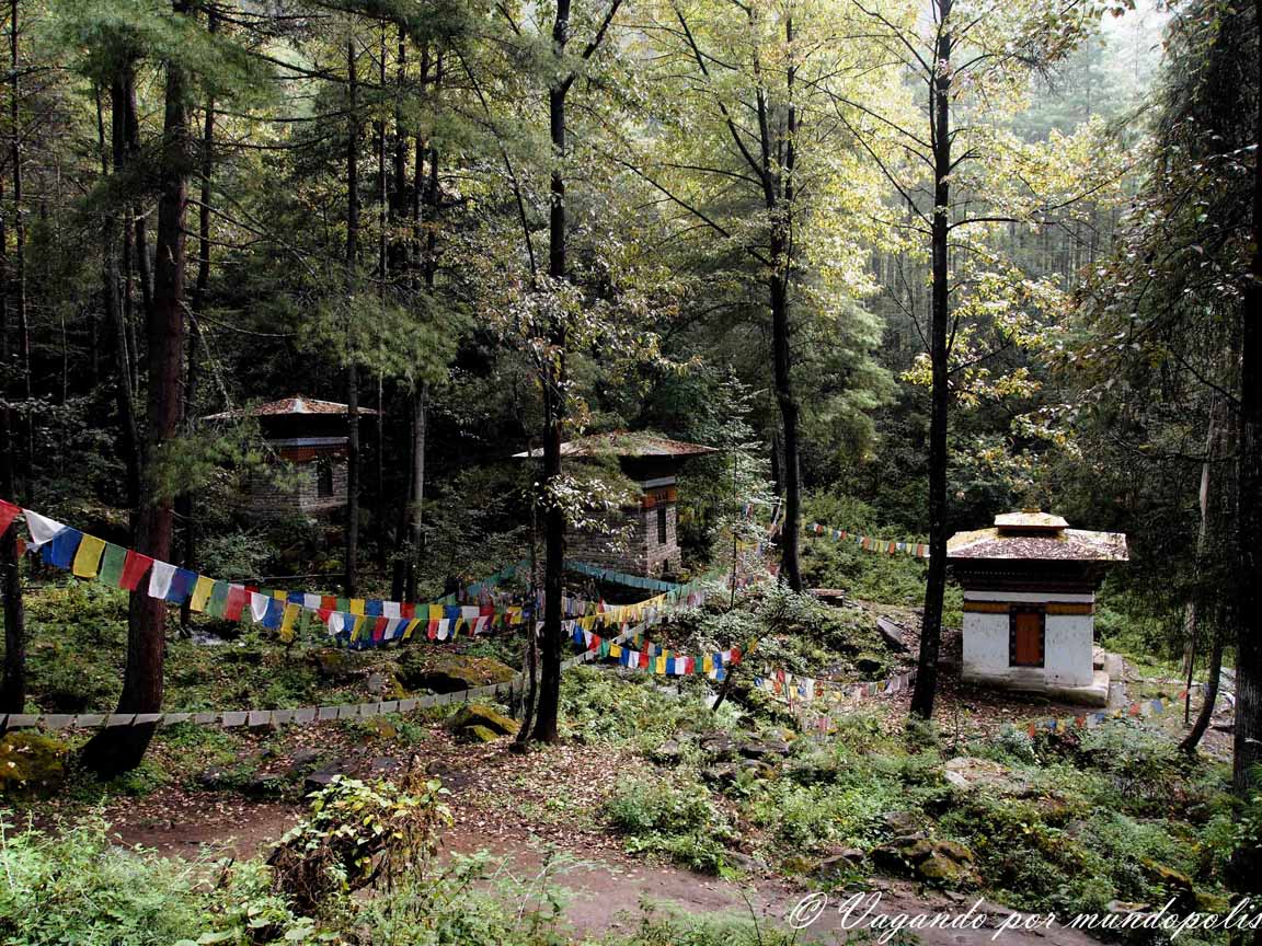 subida-nido-del-tigre-butan