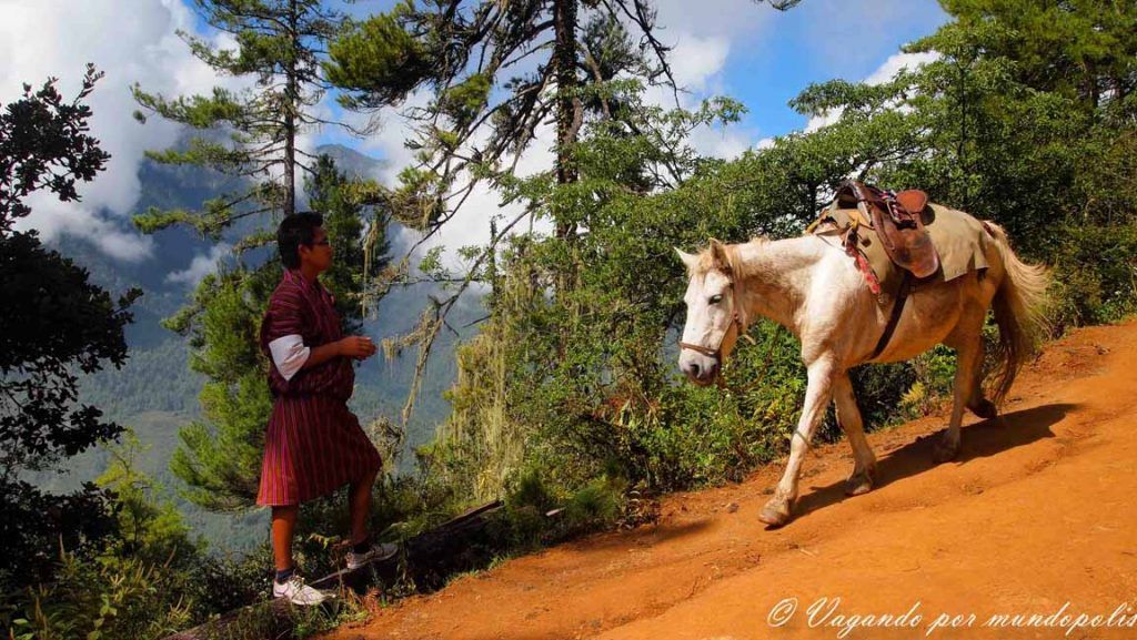 el-nido-del-tigre-subida-butan
