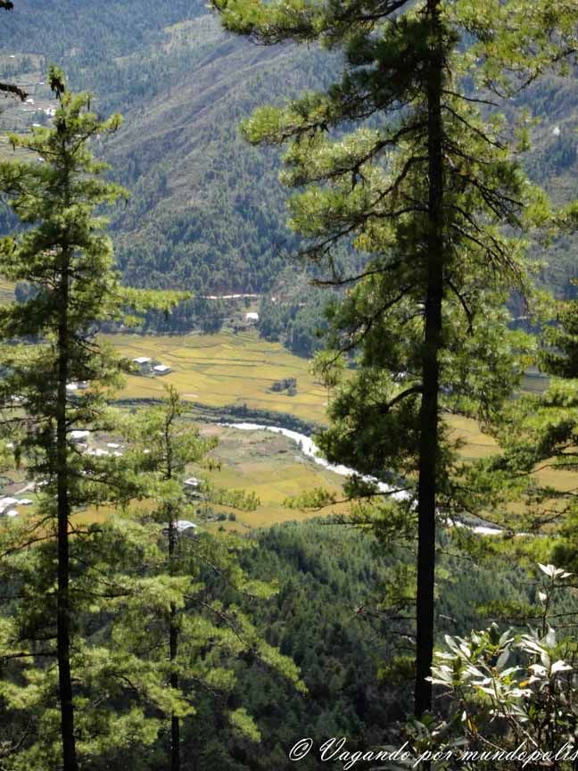 El-Nido-del-Tigre-Taktsang-Palphug