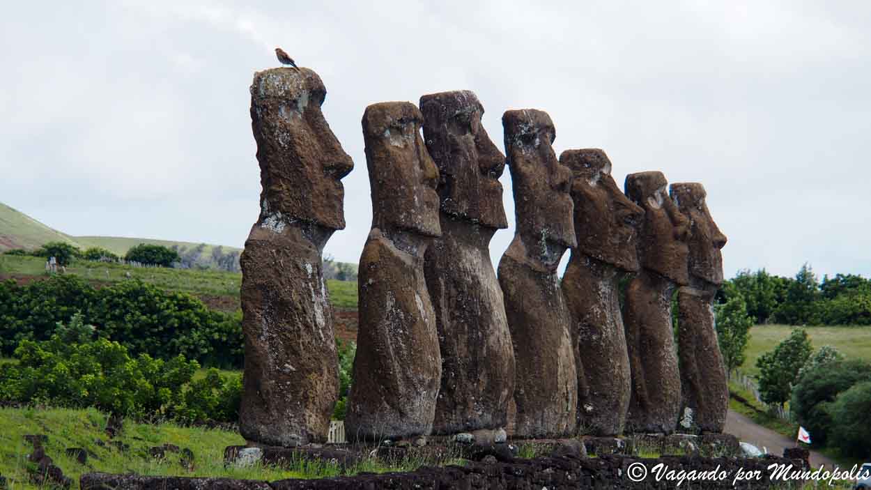 Moais-Isla de Pascua