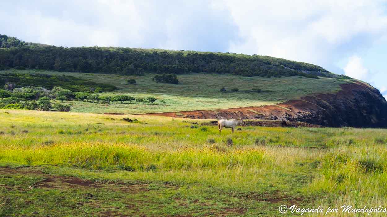 parque-nacional-rapa-nui