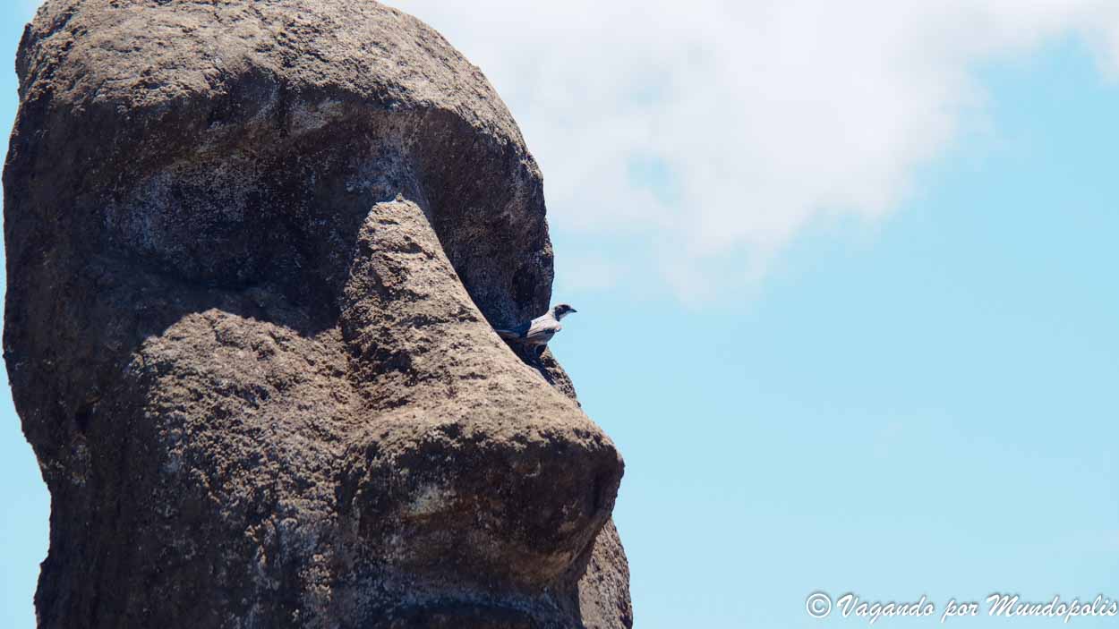 Moais-Isla Pascua