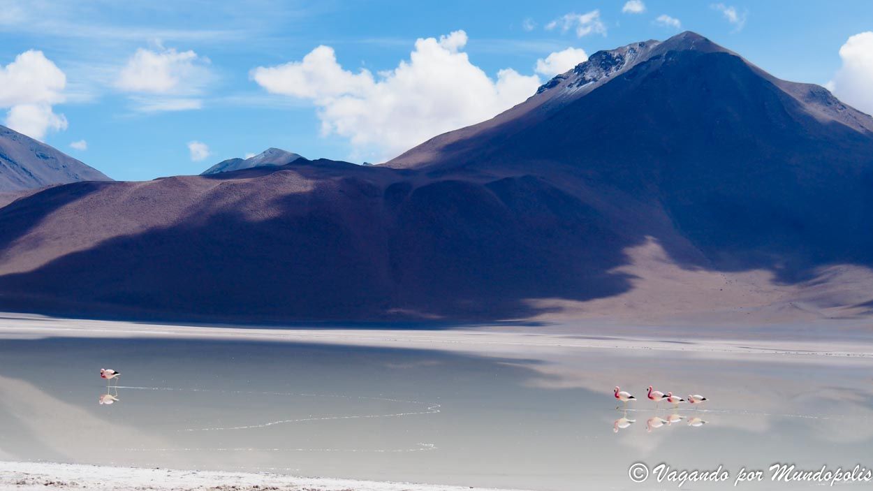 laguna-blanca-bolivia