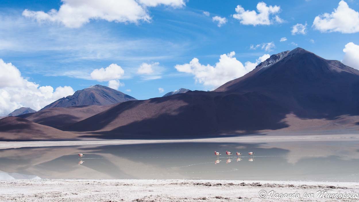 lagunas-altiplanicas-bolivia