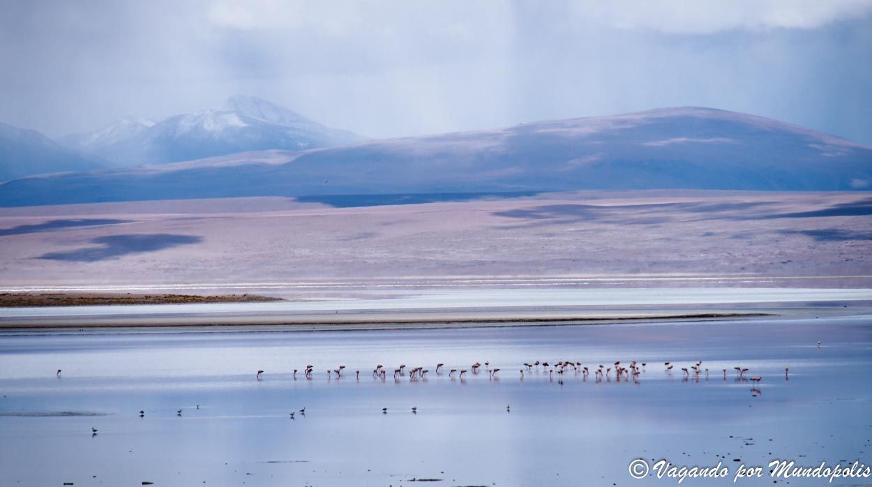 tour-uyuni-4-dias