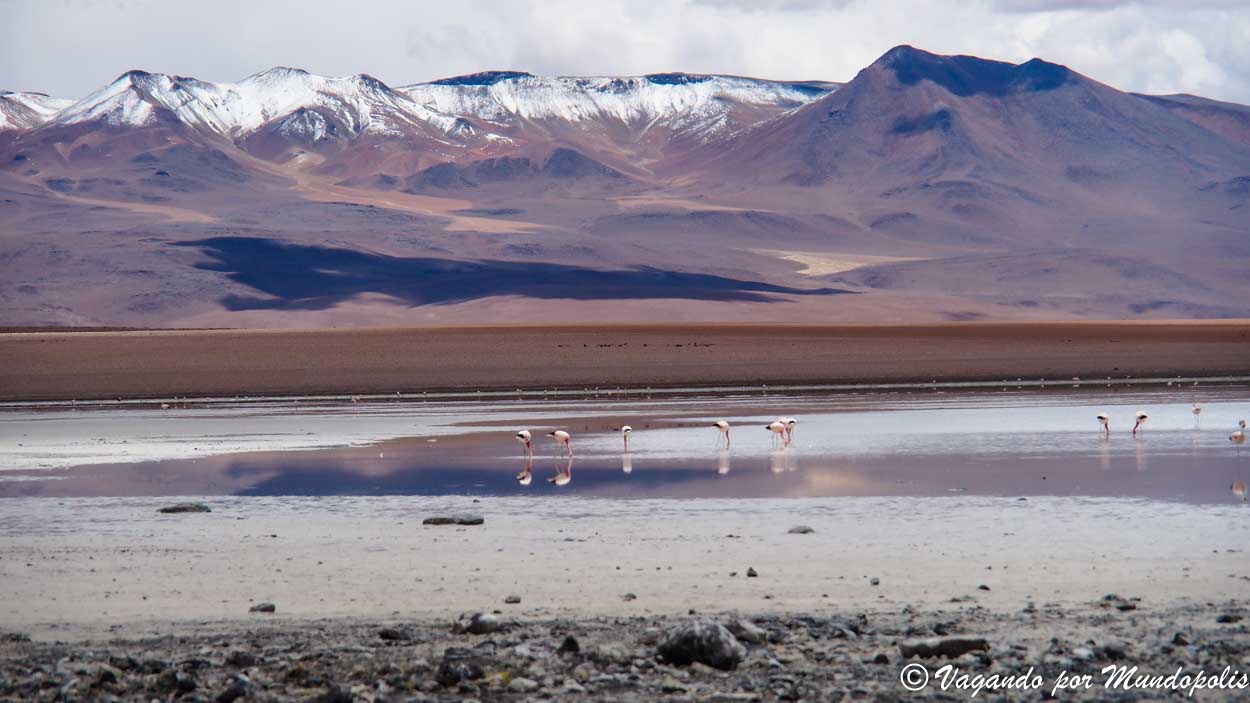 aguas-termales-polques
