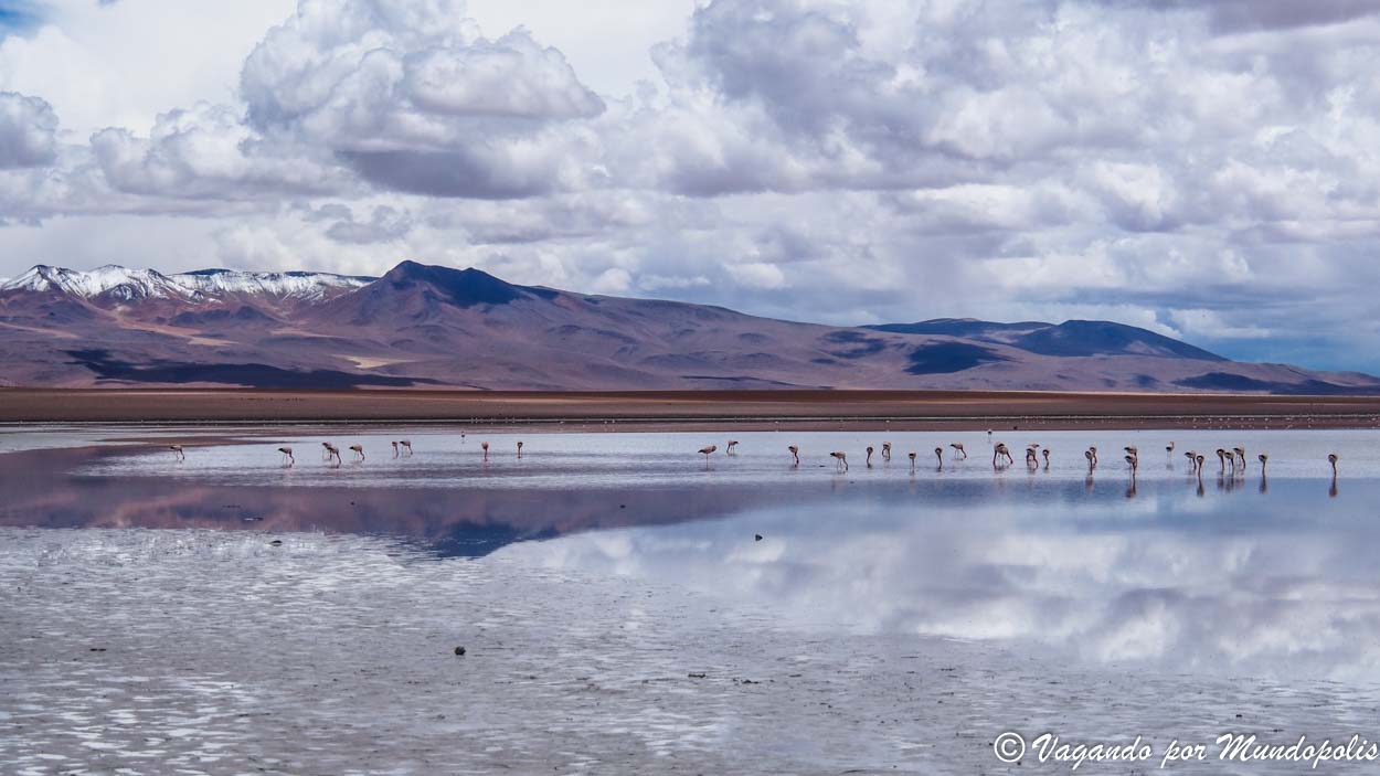 aguas-termales-polques