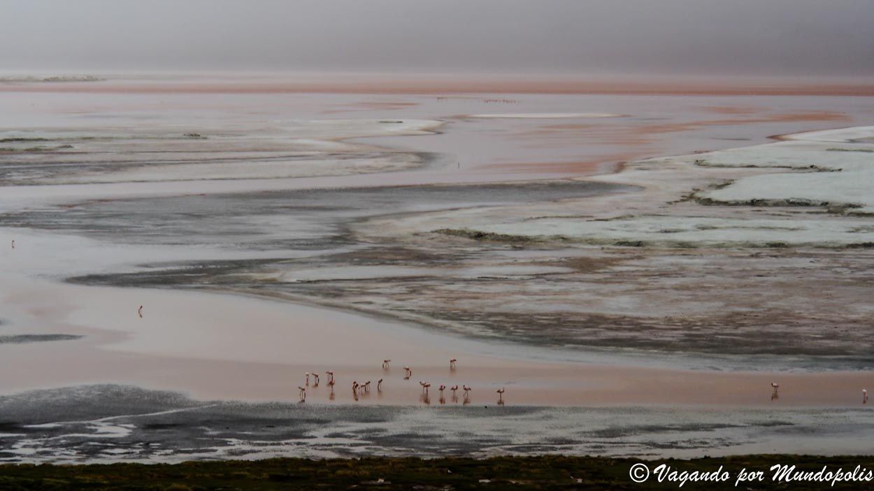 laguna-colorada-bolivia