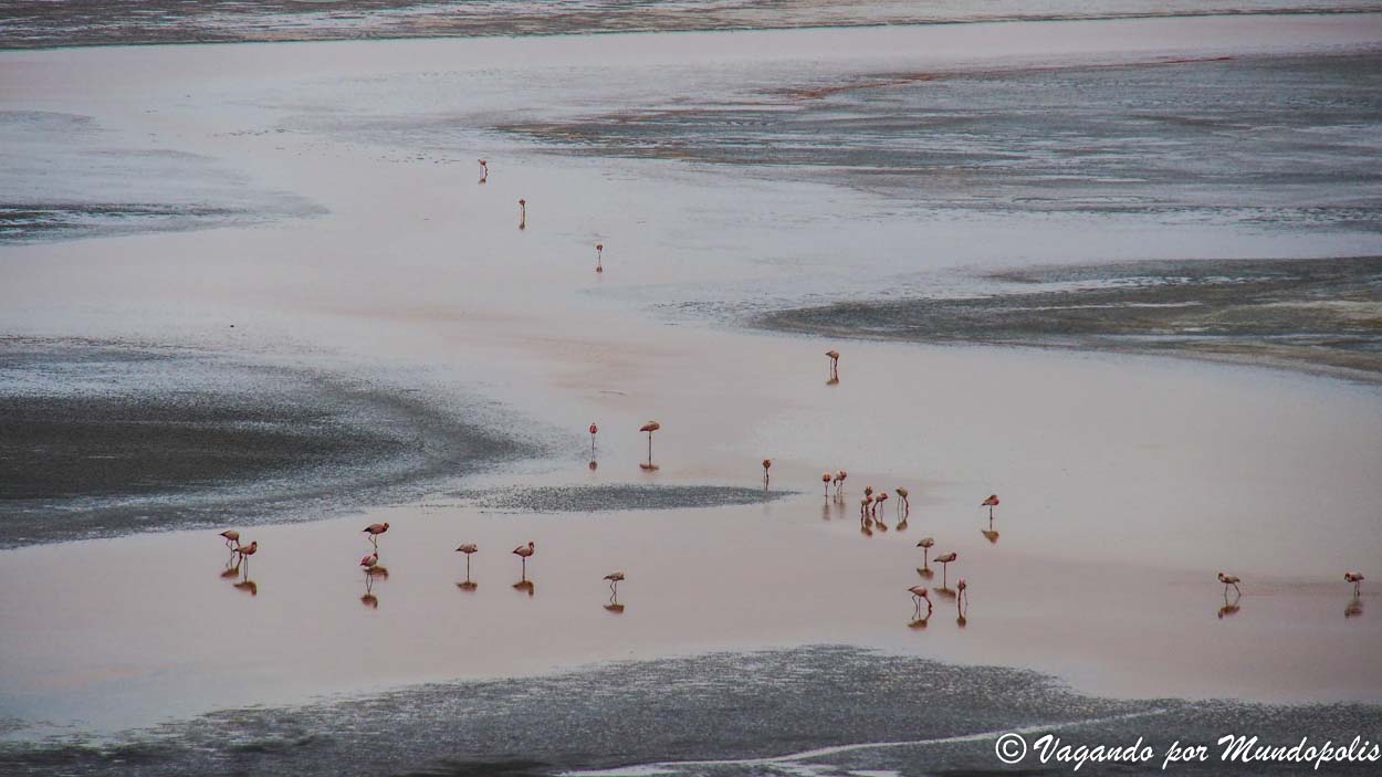 tour-uyuni-4-dias
