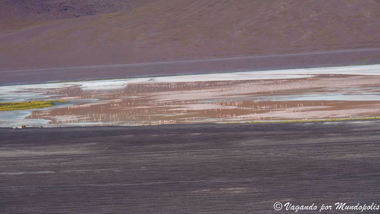 laguna-colorada-bolivia