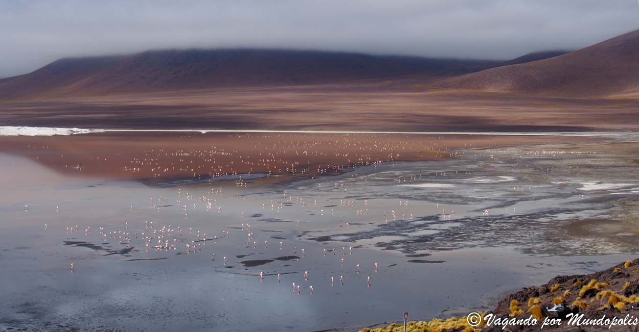 laguna-colorada-bolivia