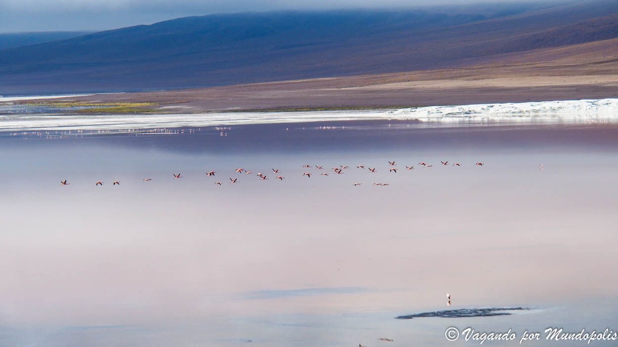 laguna-colorada-bolivia