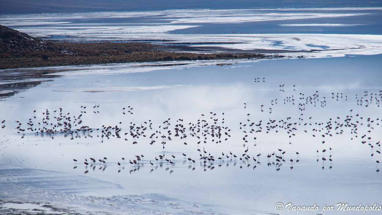 tour-uyuni-4-dias