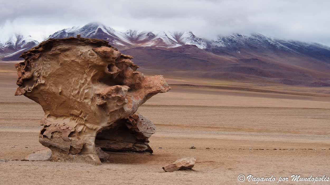 arbol-de-piedra-desierto-de-siloli