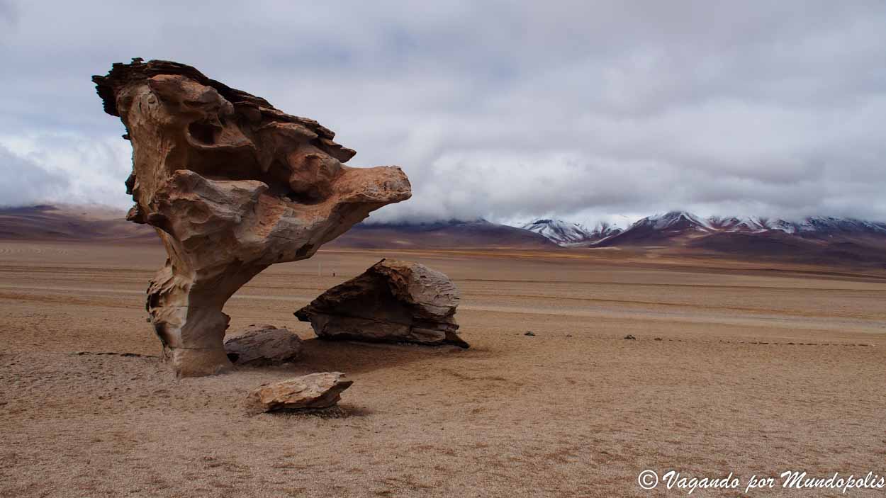 arbol-de-piedra-desierto-de-siloli
