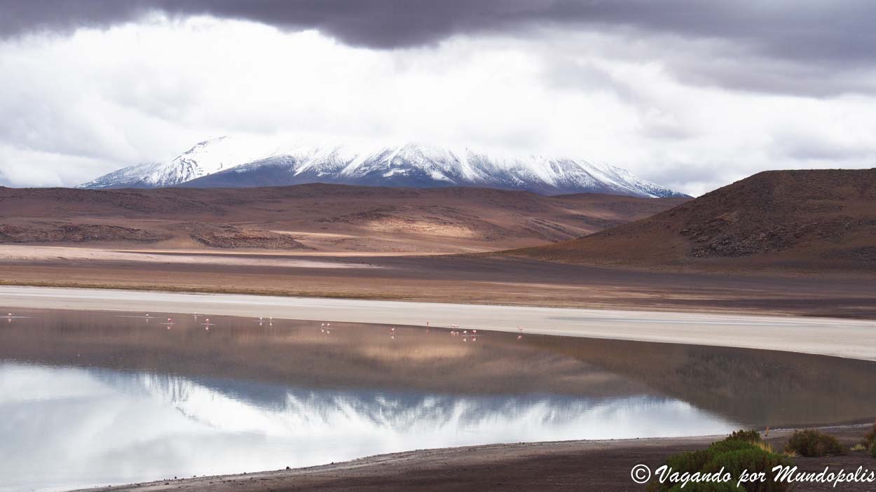 tour-atacama-uyuni-4-dias-bolivia