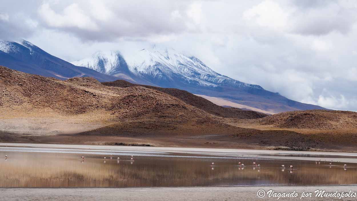 lagunas-altiplanicas-bolivia