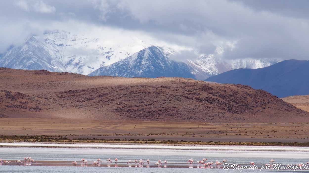 tour-uyuni-4-dias