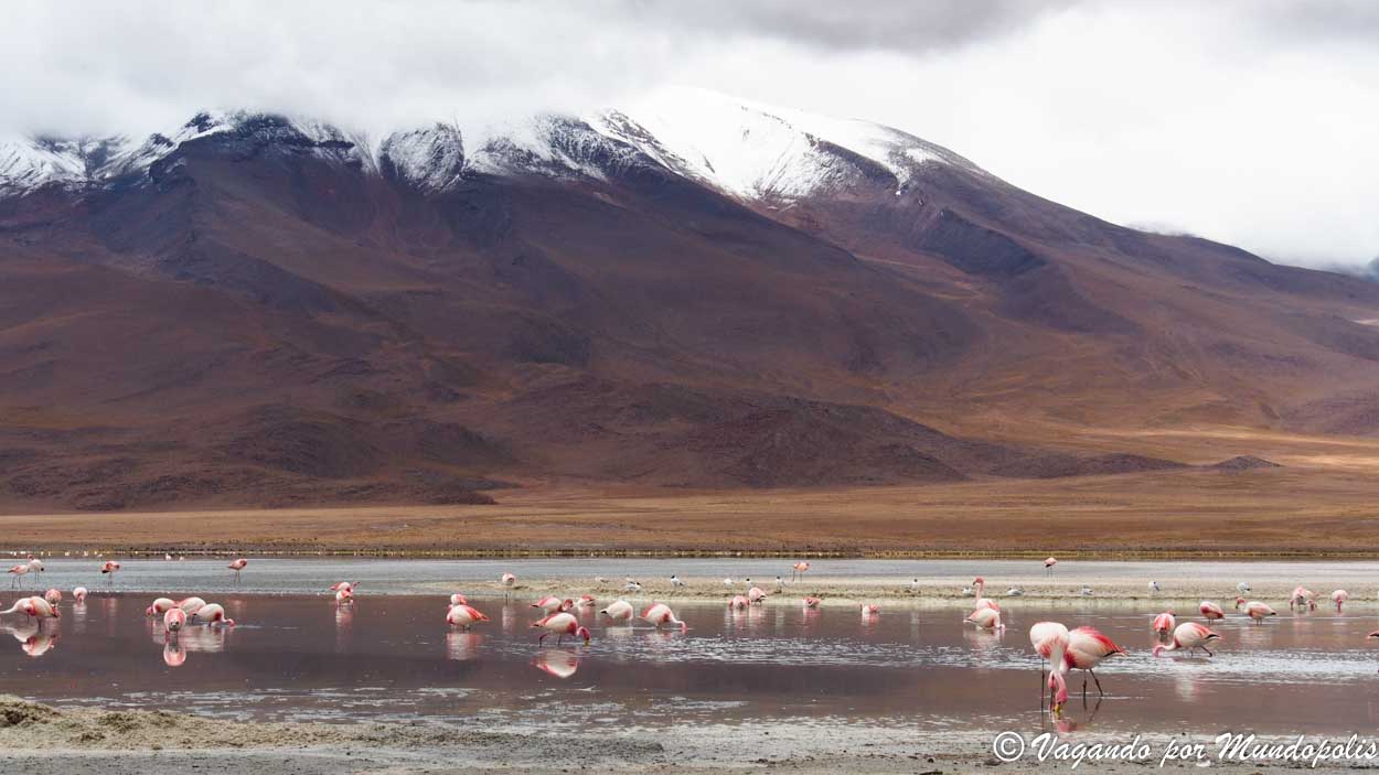 tour-atacama-uyuni-4-dias-bolivia